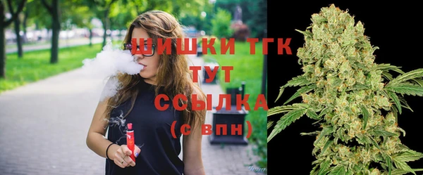 spice Белокуриха